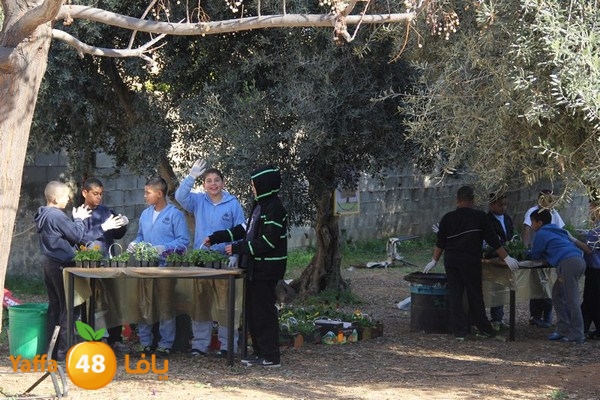 rashidiya 0212 (47).JPG